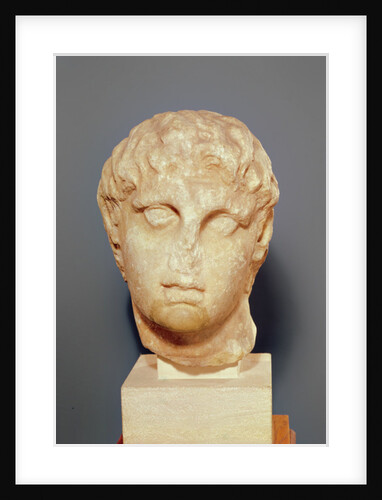 Head of one of the Diadochi or Head of Alexander III the Great by Greek school