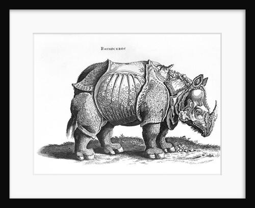 Rhinoceros, 1515 by Albrecht (after) Durer or Duerer