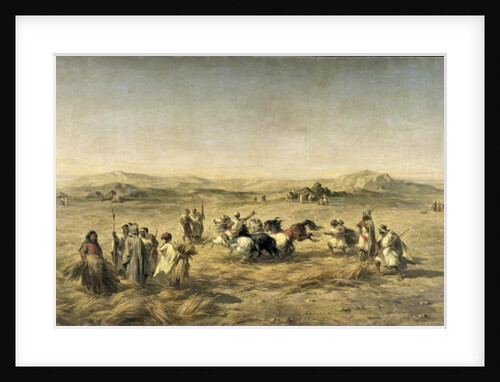 Threshing Wheat in Algeria, 1853 by Adolphe Pierre Leleux