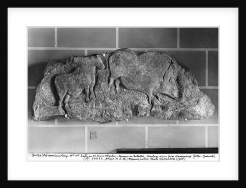 Cast of a frieze of animals from Le Roc de Sers, Charente, Solutrean Period, 20000-15000 BC by Prehistoric Prehistoric