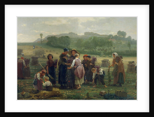 Harvesting Poppies in Picardy, 1860 by Desire Francois Laugee