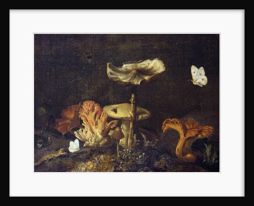Still Life with Mushrooms and Butterflies by Otto Marseus van Schrieck