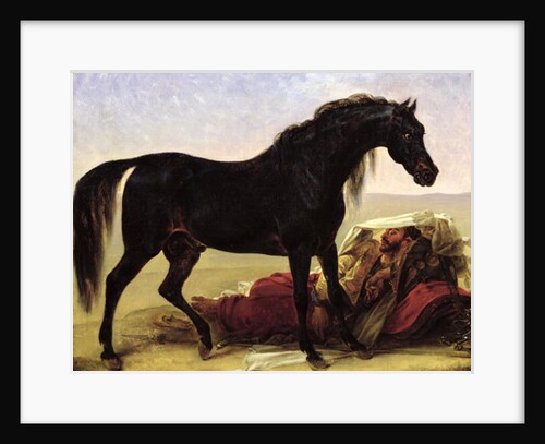 An Arabian Horse by Baron Antoine Jean Gros