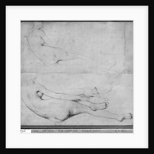 Studies for The Grande Odalisque by Jean Auguste Dominique Ingres