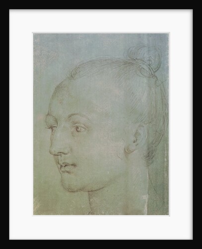 Head of a Young Woman by Albrecht Dürer or Duerer