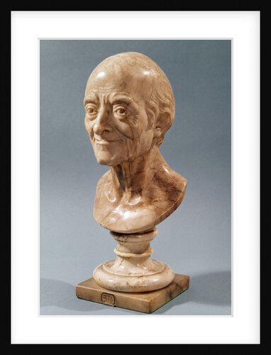 Bust of Voltaire by Francois Marie Rosset