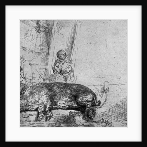 The Sow, 1643 by Rembrandt Harmensz. van Rijn