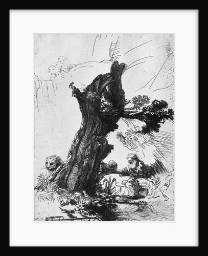 St. Jerome Writing, 1648 by Rembrandt Harmensz. van Rijn