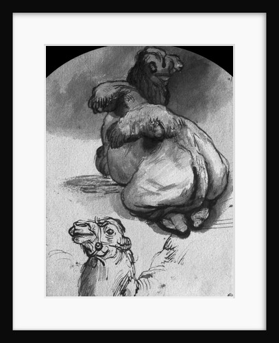 Camels by Rembrandt Harmensz. van Rijn