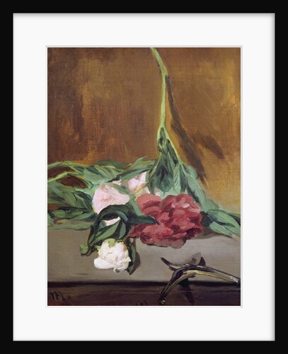 Stem of Peonies and Secateurs, c.1864 by Edouard Manet