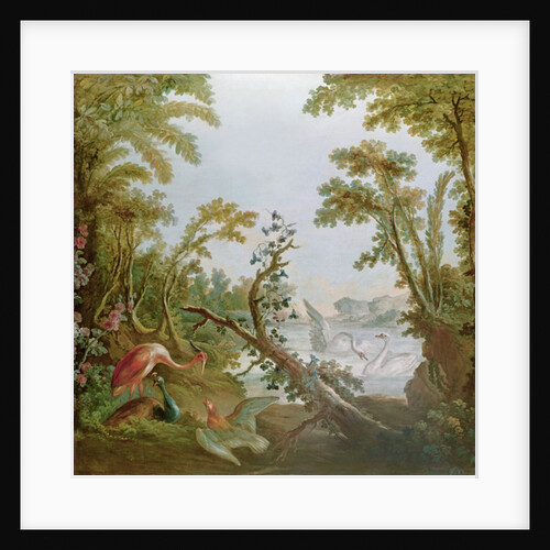 Lake with swans, a flamingo and various birds by Francois (studio of) Boucher