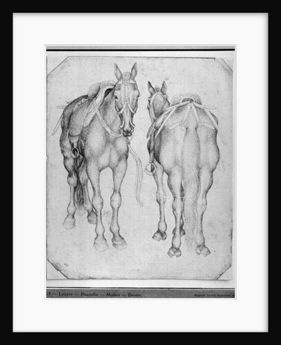 Two horses by Antonio Pisanello