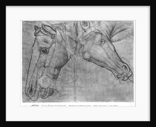 Heads of horses by Antonio Pisanello