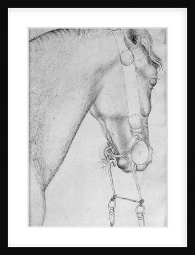 Head of a horse by Antonio Pisanello