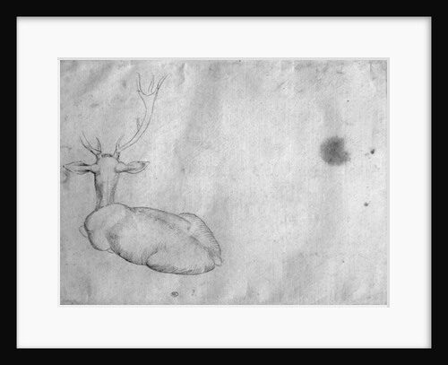 Resting stag, seen from behind by Antonio Pisanello
