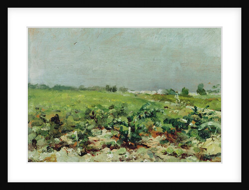 Celeyran, View of the Vineyard, 1880 by Henri de Toulouse-Lautrec