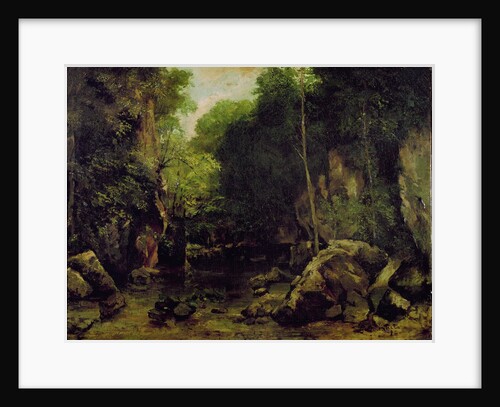 Le well-noir, Doubs by Gustave Courbet