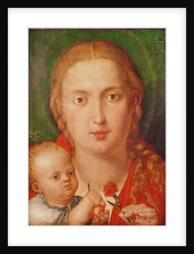 Madonna of the Carnation, 1516 by Albrecht Dürer or Duerer