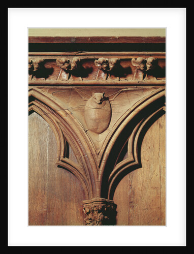 Vampire bat by French School