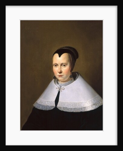 Portrait of a Woman by Michiel Jansz. van Miereveld