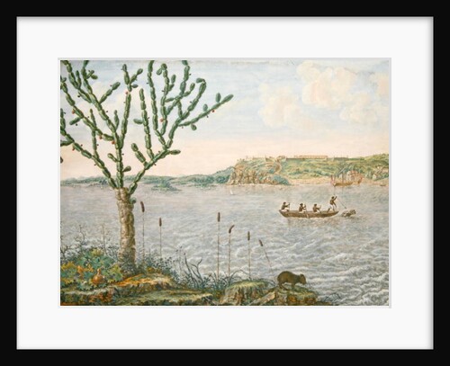 View of Fort Maurice on the Rio San Francisco by Frans Jansz Post