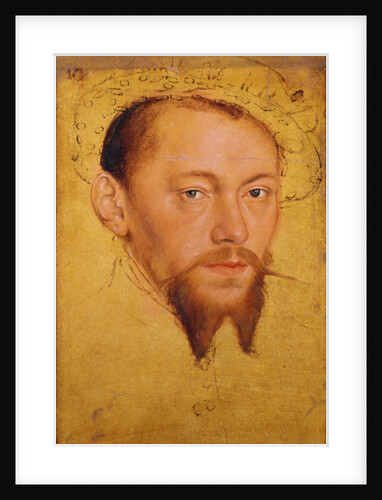 Moritze Duke of Saxony, later Elector by Lucas the Younger Cranach
