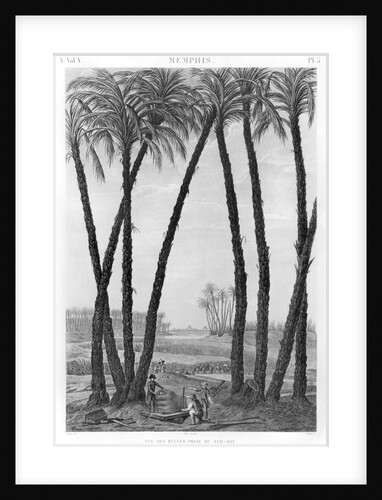 View of the ruins of Memphis seen from the south east by Andre Dutertre