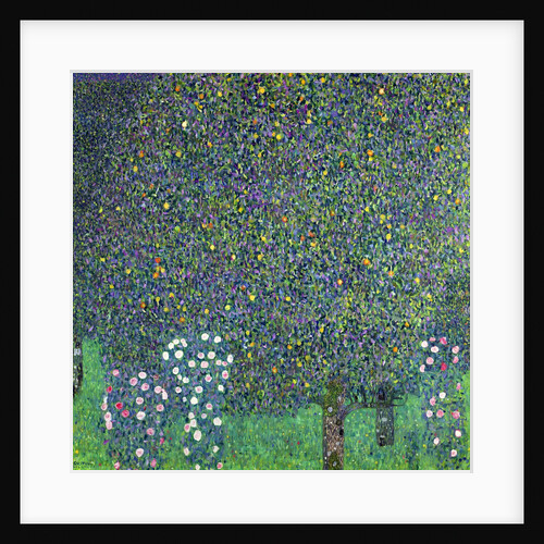 Roses under trees, c.1905 by Gustav Klimt