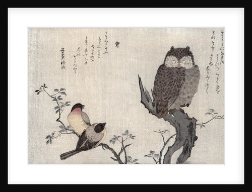 An Owl and two Eastern Bullfinches, Utamaro, 1791 by Kitagawa Utamaro