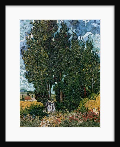 The cypresses, c.1889-90 by Vincent van Gogh