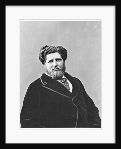 Portrait of Monsieur de Tourguenef by Nadar