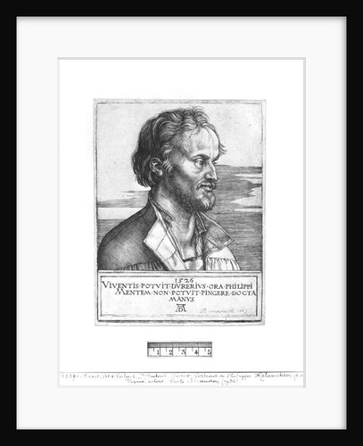 Portrait of Philipp Melanchthon, 1526 by Albrecht Dürer or Duerer