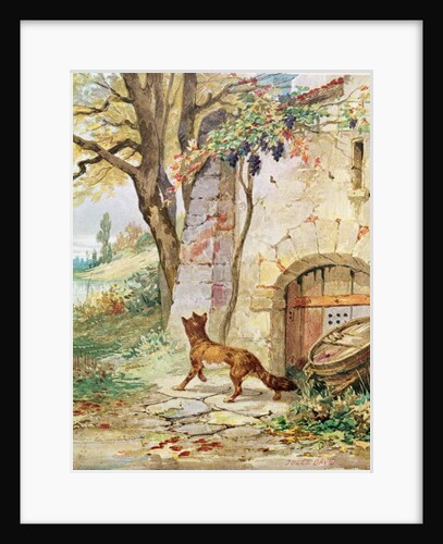 The Fox and the Grapes by Jules David