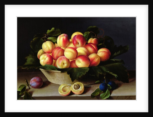 Basket of Apricots, 1634 by Louise Moillon