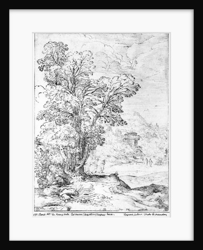 Wooded landscape by Agostino Carracci