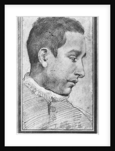 Portrait of a young man by Annibale Carracci