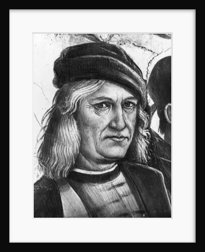 Self Portrait by Luca Signorelli