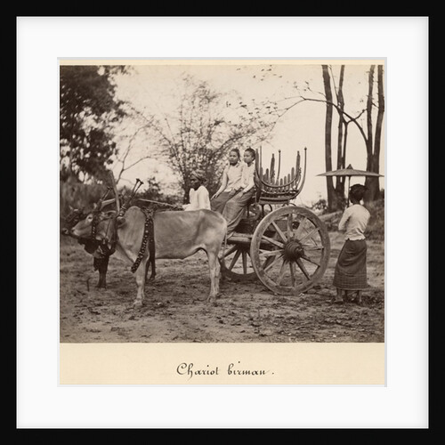 Cart pulled by two oxen at Mandalay, Burma, c.1885 by English Photographer
