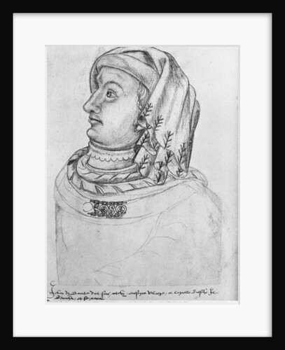 Ms 266 fol.30 John III the Pitiless, Duke of Bavaria-Straubing by Flemish School