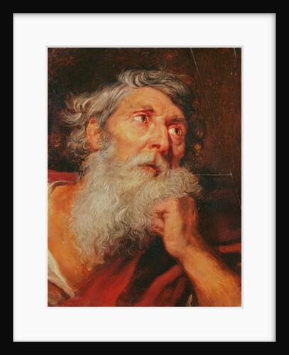 Head of an Apostle by Anthony van Dyck