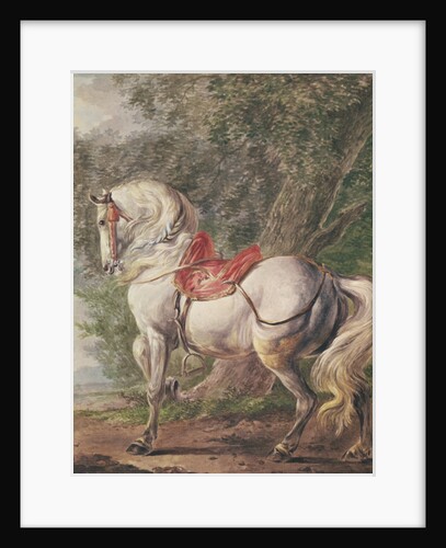 A White Horse by Philips Wouwermans or Wouwerman