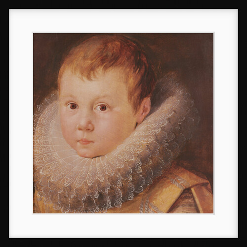 Portrait of a child by Flemish School