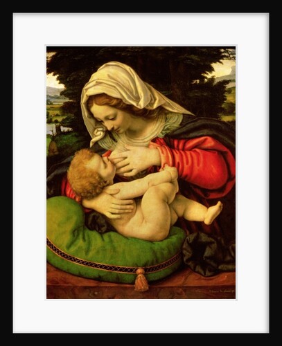 The Virgin of the Green Cushion, 1507-10 by Andrea Solario