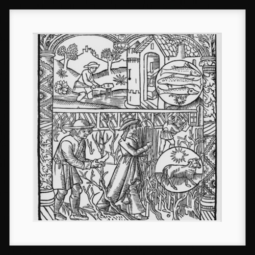 March, fishing and pruning trees, Pisces by Pierre Le Rouge