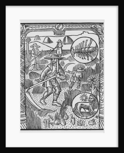 July, haymaking, Cancer by Pierre Le Rouge