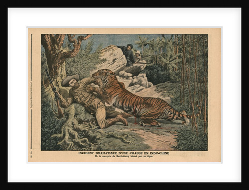 Marquis of Barthelemy wounded by a tiger by French School