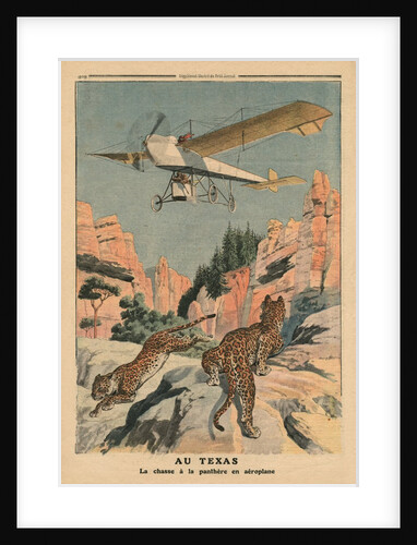 Hunting panthers from an airplane in Texas by French School