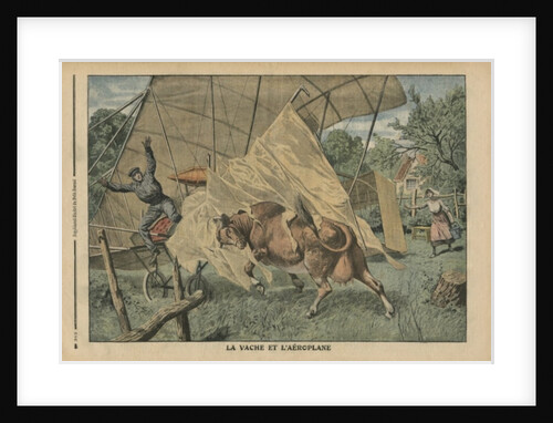 The cow and the airplane by French School