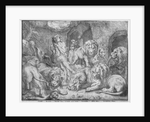 Daniel in the lions' den by Peter Paul Rubens