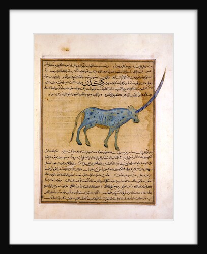 Ms E-7 fol.191b Rhinoceros by Islamic School